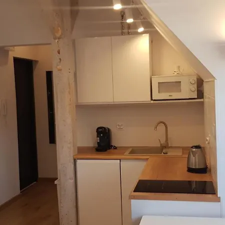 Apartment Frog For 2 *